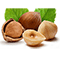 Nuts, Nut Pastes & Creams - ITS NUTRISCIENCE CO LTD