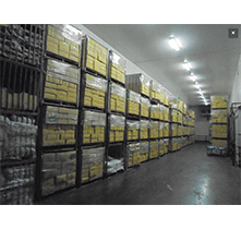 COLD STORAGE - RUXCHAI COLD STORAGE CO LTD